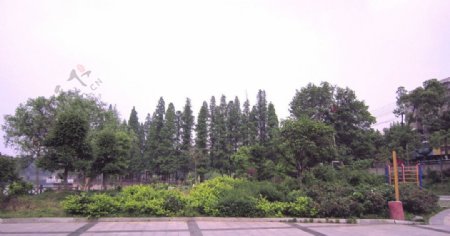 雨湖公园自然风景图片