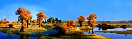巨幅新疆风景图片