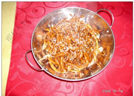 干锅奇味茶树菇图片