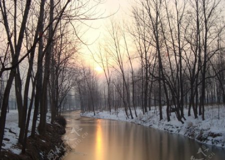 冬日晨阳图片