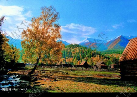 新疆风景木屋图片