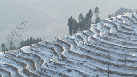 梯田雪景图片