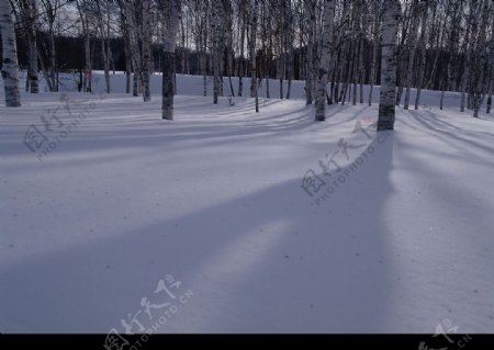 冰雪世界图片