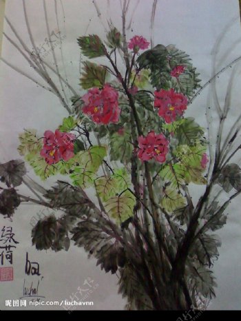 越南花画2绿河图片