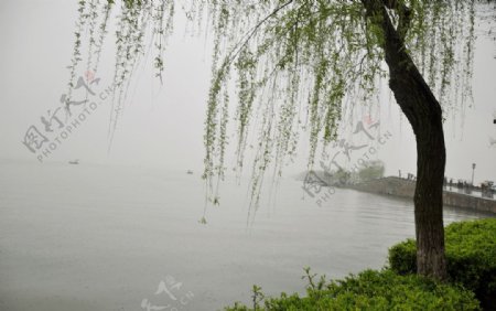 杭州湖边图片