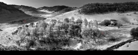 雪域关山图片