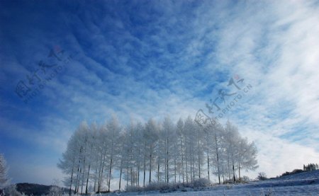 冬季冰雪雾凇图片