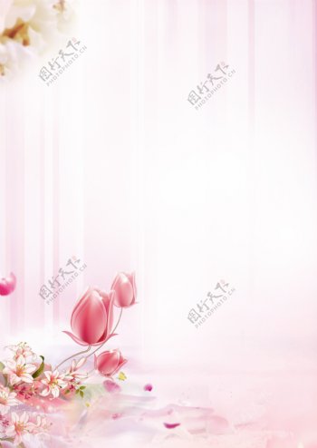 粉色背景图图片
