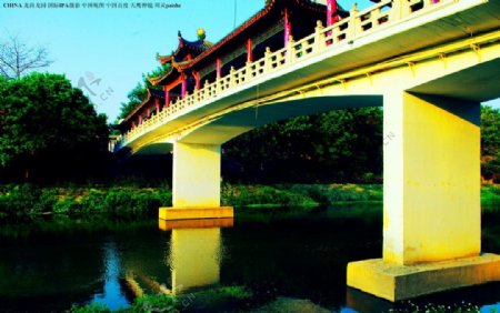 深圳龙园龙园桥图片