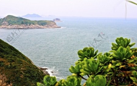 有前景的海岛风景图片