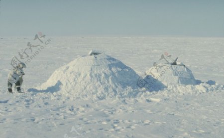 北极风景图片