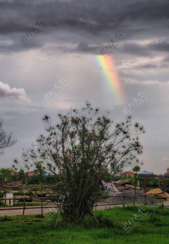 台风过后的彩虹图片
