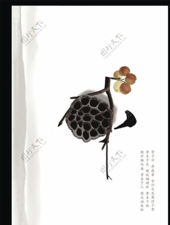 禅意枯莲中国风海报图片