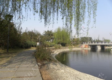 四川大学明远湖畔图片