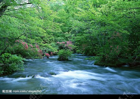 山水风景12图片