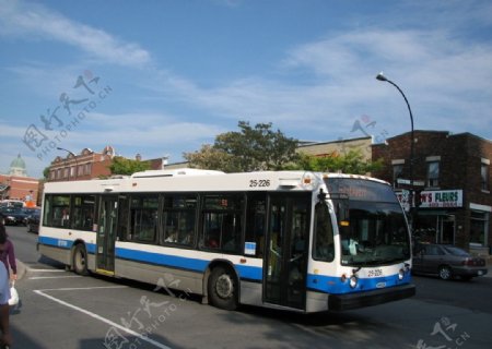 蒙特利尔街上的公交巴士图片