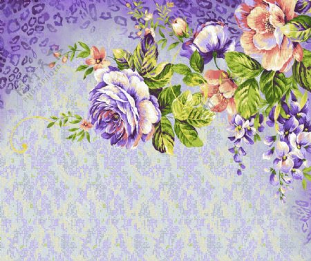 紫色牡丹图片