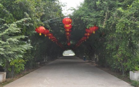 鄢陵花木博览园图片
