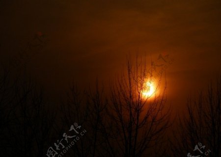 太阳日食图片