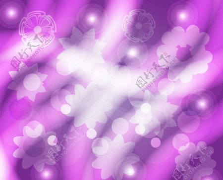 紫色动感线条圆点时尚花纹图片