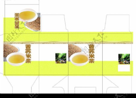 苦荞米茶图片