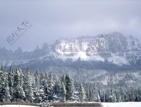 雪原美景图片
