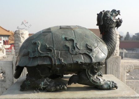 北京故宫大石龟图片