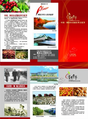 红枣节三折页图片