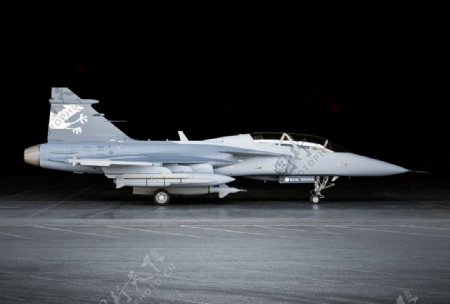 瑞典皇家空军鹰师战斗机图片