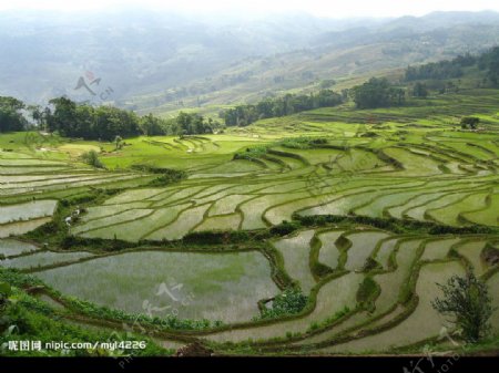 美丽的风景图片