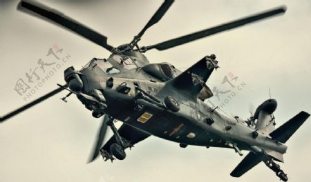 武直10武装直升机图片