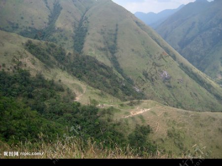 自然景观高山山丘绿树图片