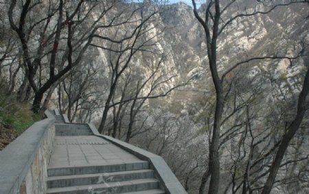 嵩山上山阶梯图片