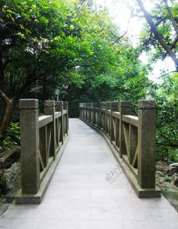 凤凰山树林小桥图片