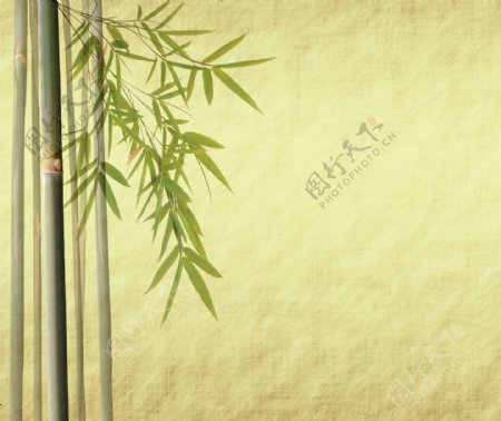 怀旧绿色竹子背景图片