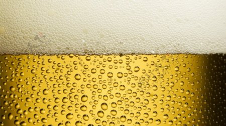 啤酒花图片