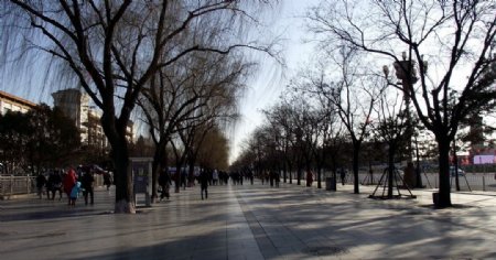 冬日北京图片