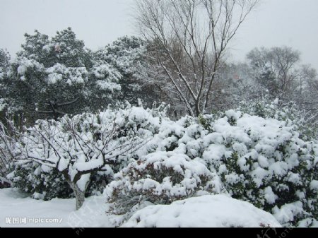 江苏常州07年雪景图片