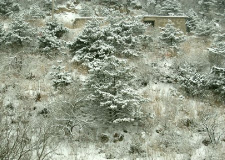 昆嵛山雪景图片