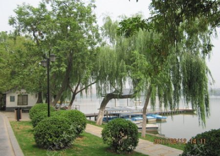 莫愁湖公园图片