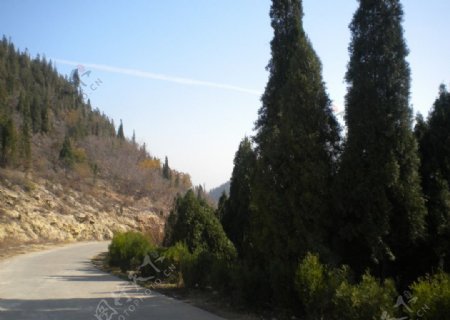 山村公路图片