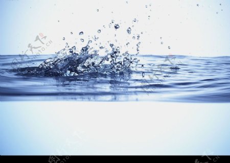 水之纯图片
