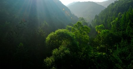 深山阳光图片