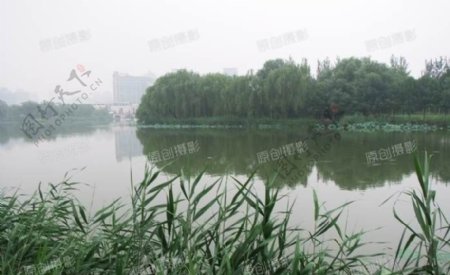 北京朝阳公园湖面景色图片