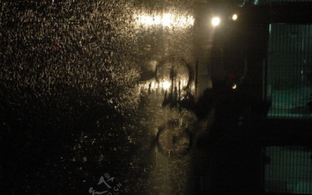 雨夜光影图片