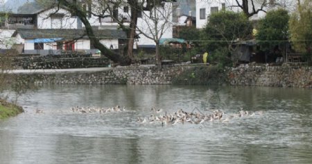 桂林风景图片