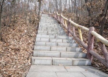 冬天的山景图片