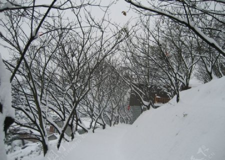 山村下的雪景图片