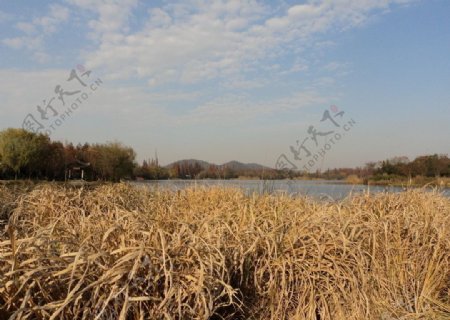 杭州湖光一隅图片