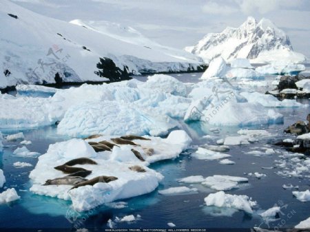 南極風光图片